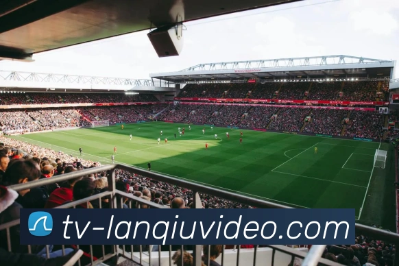 篮球直播服务体系